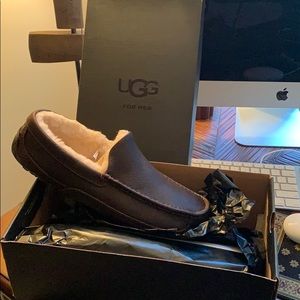 Ugg for men Ascot slipper